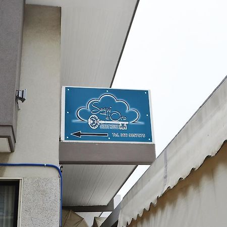Sogni D'Oro - Guest House Pineto Buitenkant foto